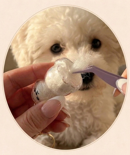 The PawLocket