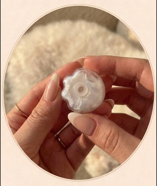 The PawLocket