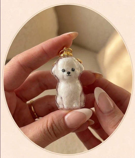 The PawLocket