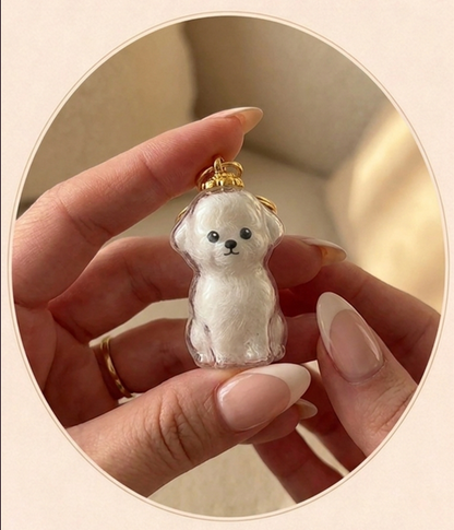 The PawLocket