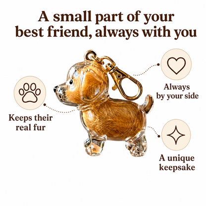 The PawLocket Charm