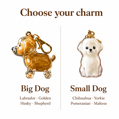 The PawLocket Charm